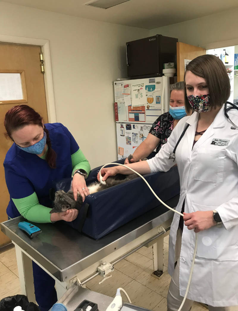 Best Vet Hospital In Danville, PA Caring Hands Animal Hospital